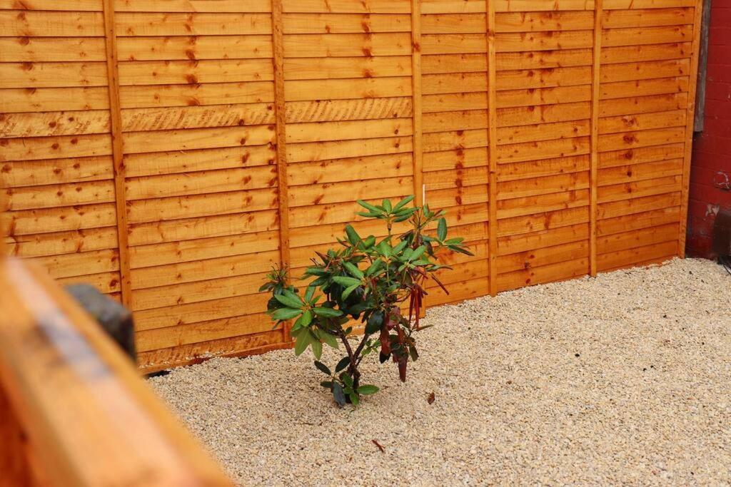 Apartment Away From - 2 Bed Free Parking & Wifi